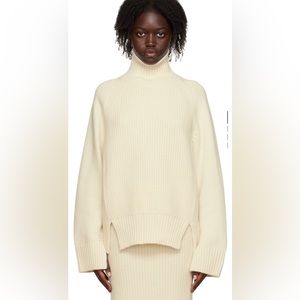 Trunk project turtleneck sweater